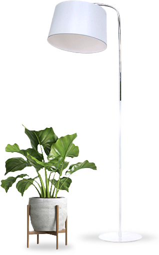 מנורה ועציץ